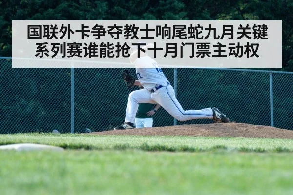 baseball pitcher throwing action